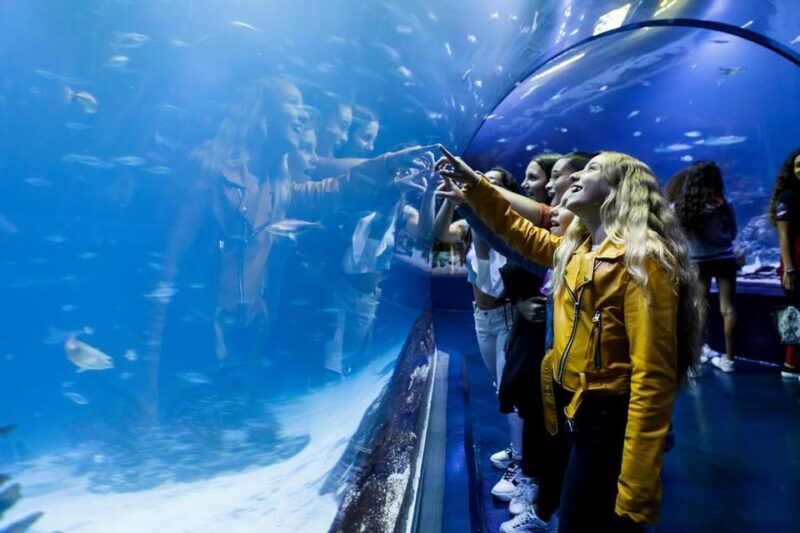 Madrid: Atlantis Aquarium Entry Ticket - The Value in Context