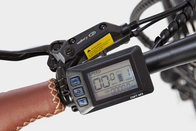 Madrid Central and Retiro Park E-bike Tour - The Perfect Match: Who Should Consider This Tour?