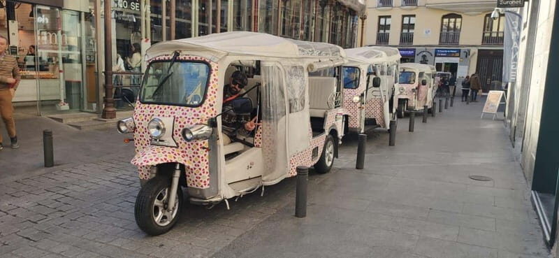 Madrid: City Tours - 6 seats private ecological tuk tuk - Key Points