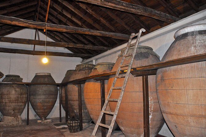 Madrid Countryside Wineries Guided Tour with Wine Tasting - The Bottom Line: Who Is This Tour for?