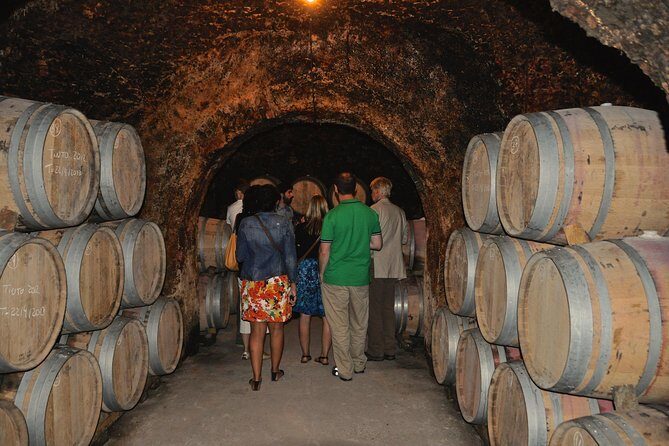 Madrid Countryside Wineries Guided Tour with Wine Tasting - The Bottom Line on Value