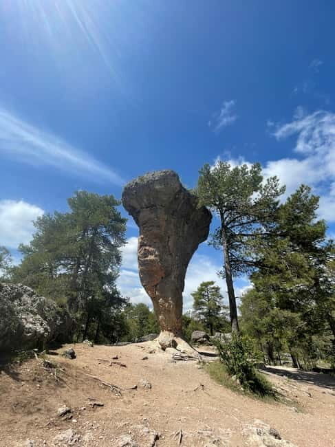 Madrid: Cuenca and Enchanted City Day Tour - Final Thoughts