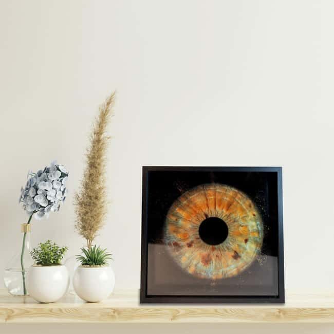 Madrid: Discover the colors of your iris with printing included - Practical Details and Tips