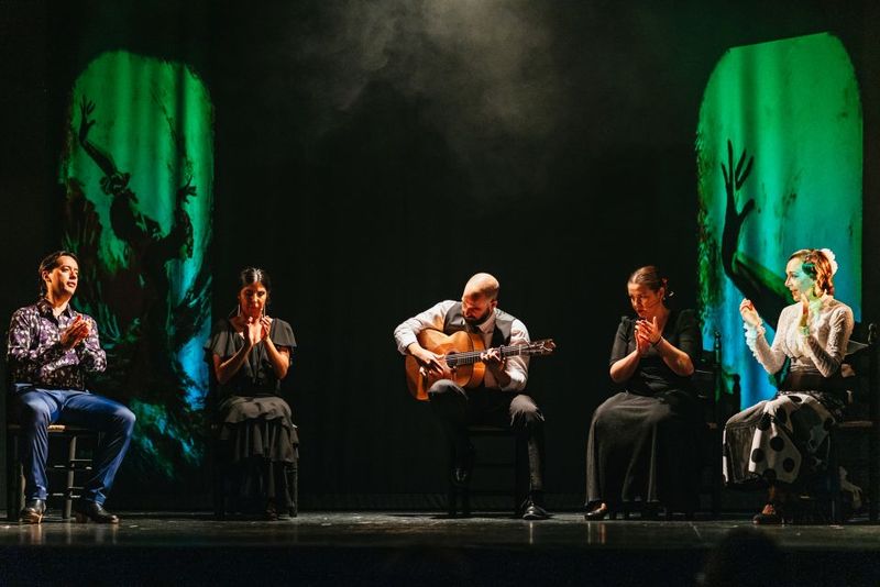 Madrid: "Emociones" Live Flamenco Performance - Performance quality: what the best reviews are praising