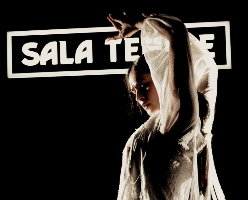 Madrid: Flamenco Show at Tablao Sala Temple with Drink - Who Should Book This?