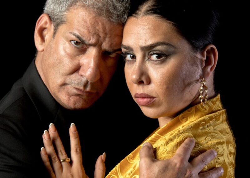 Madrid: Flamenco Show Entry Ticket with Drink & Artist Talk - Practical Details and Tips