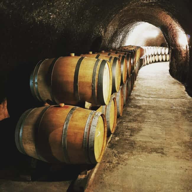 Madrid: half day wine region tour - What Do the Reviews Say?