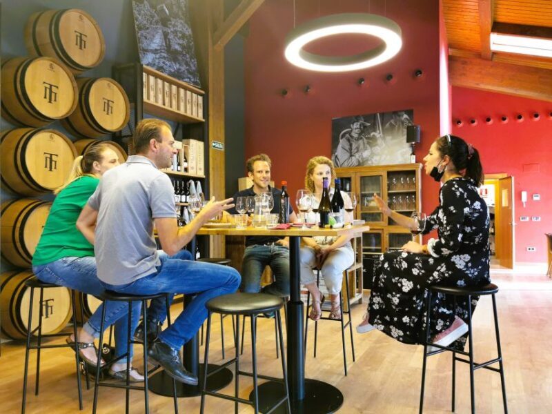 Madrid: half day wine region tour - Who Is This Tour Best For?