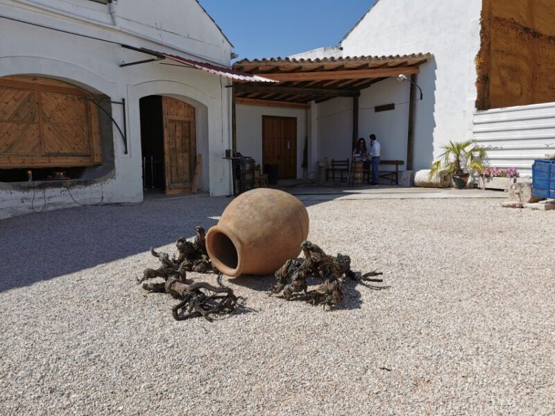 Madrid: half day wine region tour - FAQs