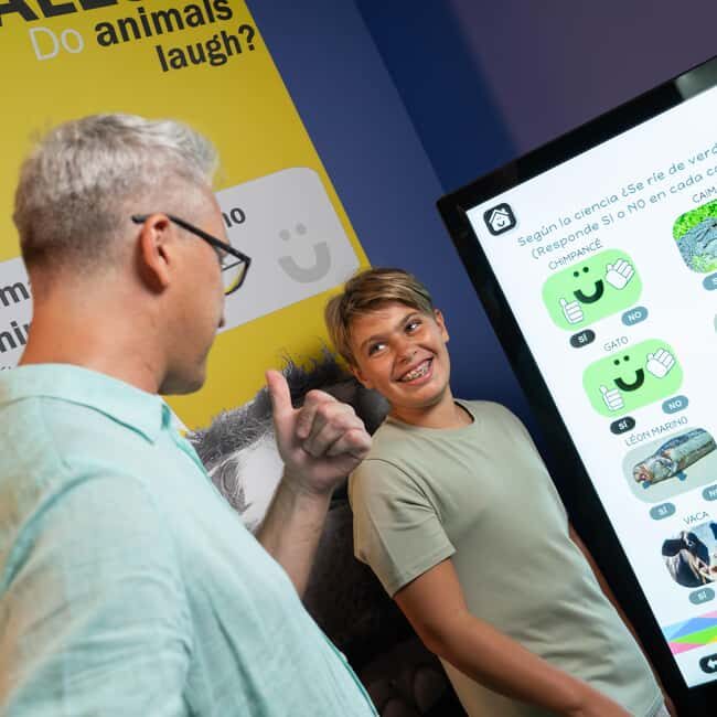 Madrid: Happiness Museum Interactive Experience Ticket - Key Points