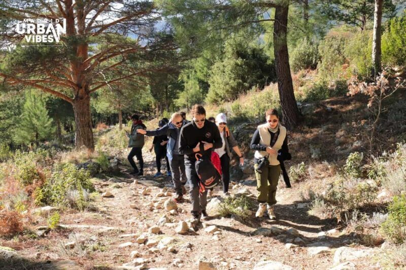 Madrid Hiking Tour: Nature, Views, and Fresh Air - Key Points