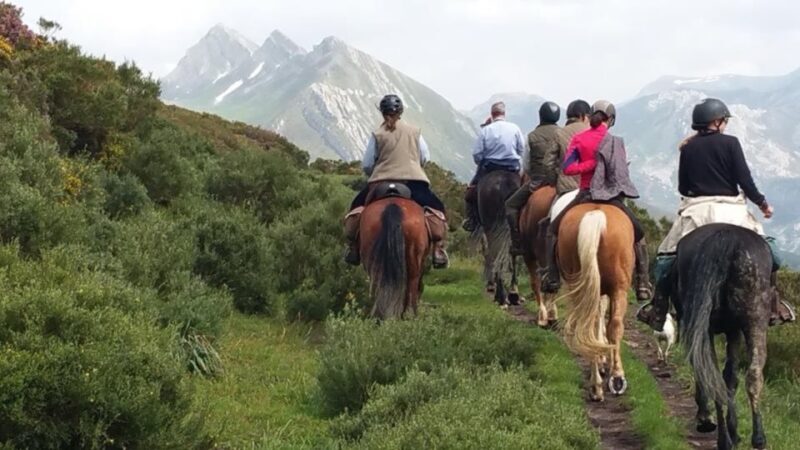 Madrid: Horse Riding in Sierra del Guadarrama National Park - The Scenery and the Experience