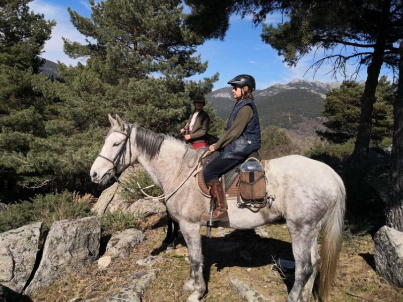 Madrid: Horse Riding in Sierra del Guadarrama National Park - What the Tour Includes and What You Should Bring