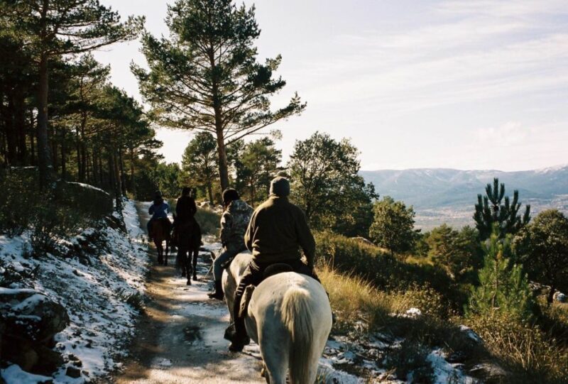 Madrid: Horse Riding in Sierra del Guadarrama National Park - The Itinerary and Logistics