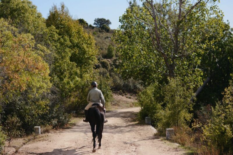 Madrid: Horse Riding in Sierra del Guadarrama National Park - Final Thoughts