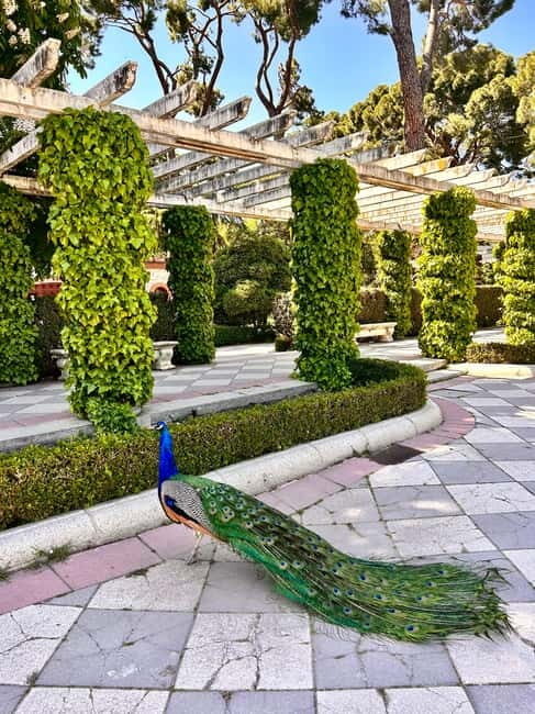 Madrid: Magic Retiro Park Bike Tour - What to Expect on the Tour