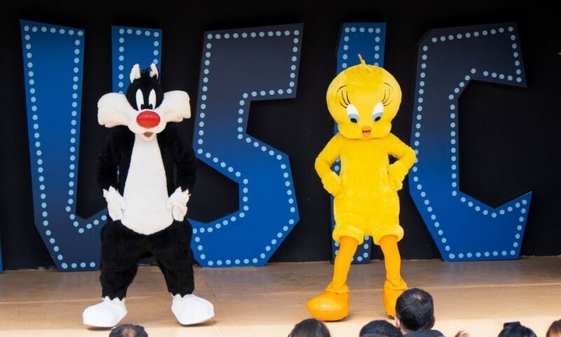 Madrid: Parque Warner Ticket and Roundtrip Transportation - Key Points