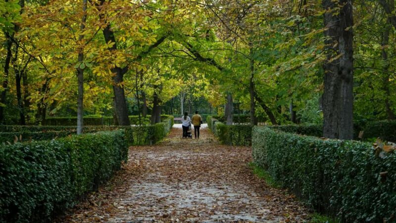 Madrid: Private Retiro Park Tour With Local Guide - Key Points