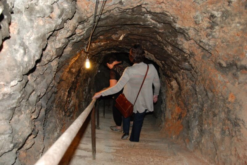 Madrid: Regional Madrid Wineries Guided Tour and Tastings - Who Will Love This Tour?