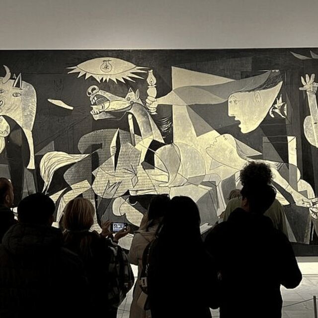 Madrid: Reina Sofia Private Guided Tour with Expert Guide - Key Points