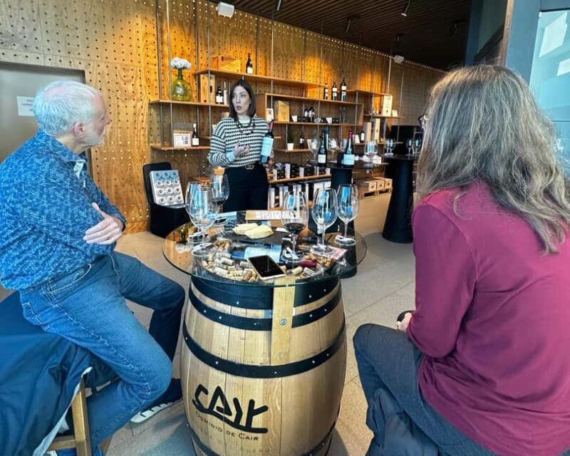 Madrid: Ribera del Duero Wine Tour with Tastings and Lunch - What to Expect from the Ribera del Duero Tour