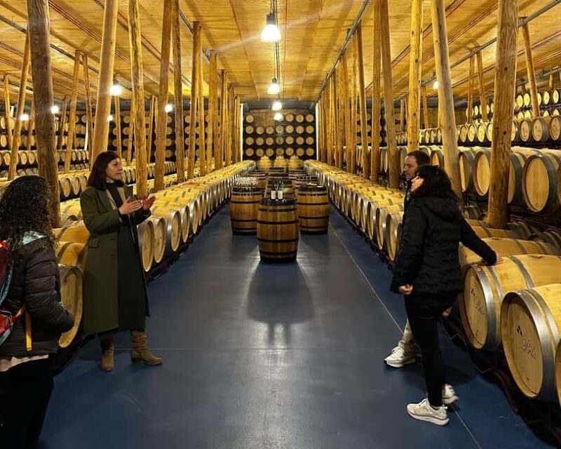 Madrid: Ribera del Duero Wine Tour with Tastings and Lunch - What the Reviews Say