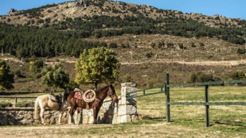 Madrid: Sierra de Guadarrama Horseback Riding Experience - Key Points