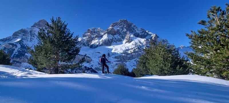 Madrid: Snowshoe tour - Equipment and Preparation