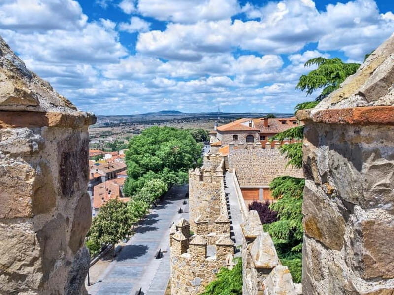 Madrid: Tour in Avila & Salamanca - Who Will Love This Tour?