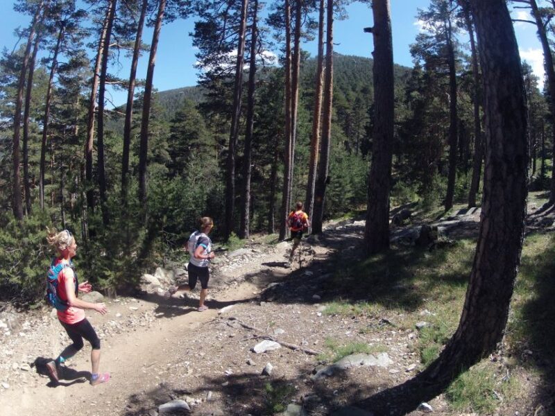 Madrid: Trail Running Day Trip - Who Is This Tour Best For?