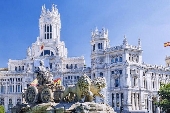 Madrid VIP Private & Secure Airport Transfer - Who Should Consider This Transfer?