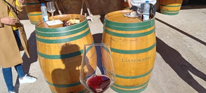 Madrid Wine Tour: Discover Unique Local Wineries & Tastings - What to Expect from the Madrid Wine Tour