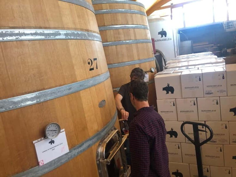 Madrid Wine Tour: Discover Unique Local Wineries & Tastings - Who Will Love This Tour?