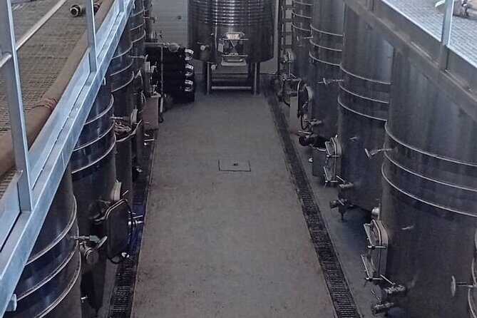 Madrid Wine Tour: Visit Two Wineries with Tastings - Who Is This Tour Best For?