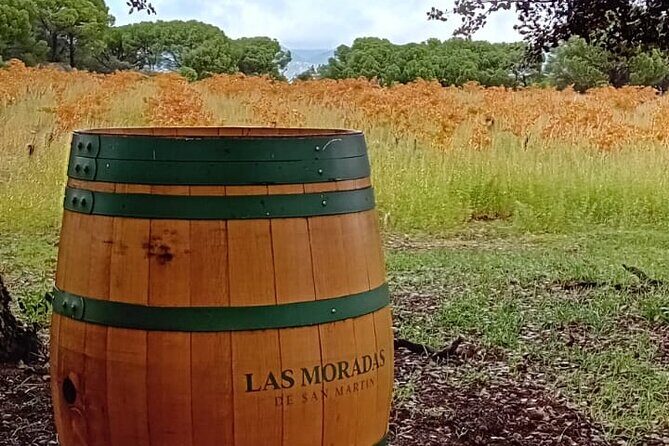Madrid Wine Tour: Visit Two Wineries with Tastings - FAQs