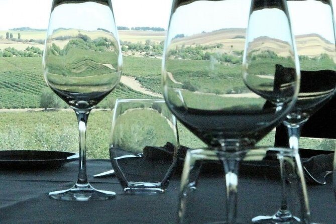 Madrid Wineries Private Tour with Hotel Pickup and Lunch - What to Expect from the Tour