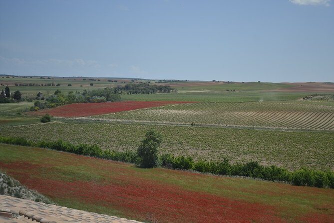 Madrid Wineries Private Tour with Hotel Pickup and Lunch - Frequently Asked Questions