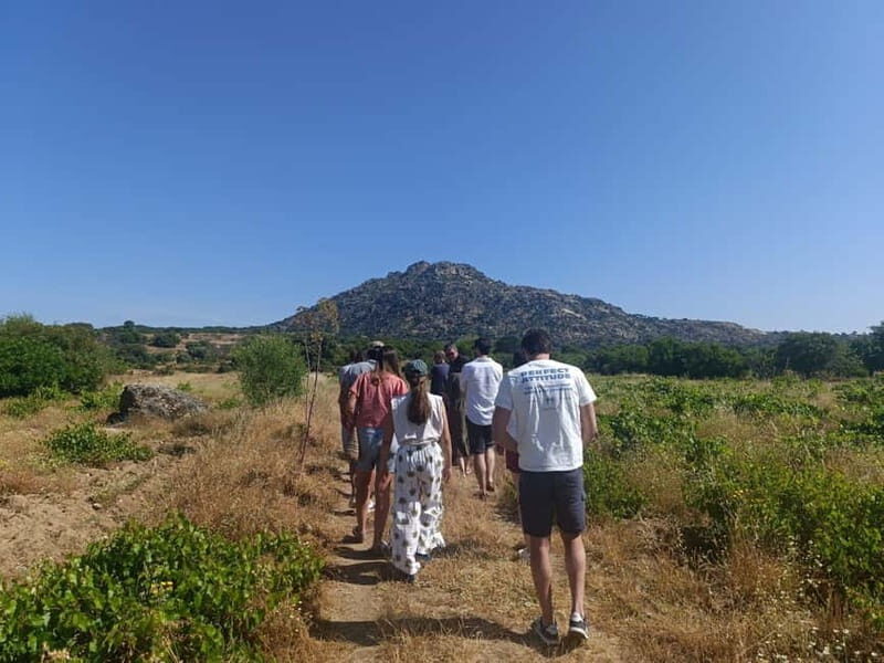 Madrid Winery Tour: Visit & Tasting With Sommelier Guide - Potential Drawbacks and Considerations