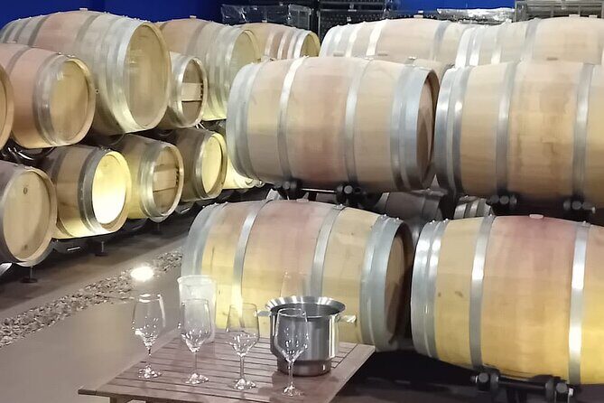 Madrid Winery Tour with Tasting & Sommelier Guide - The Sum Up