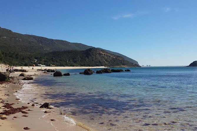 Magic Arrábida Tour - A Day Highlighting the Natural and Cultural Charm of Arrábida