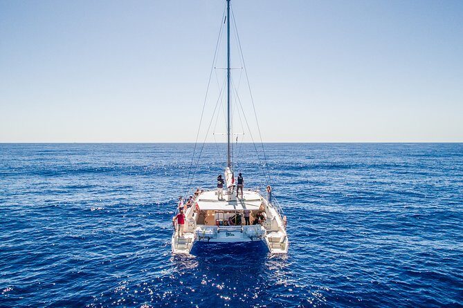 Magic Dolphin Celebrity - Discover Madeira’s Coast and Mountains with the Magic Dolphin Celebrity Tour