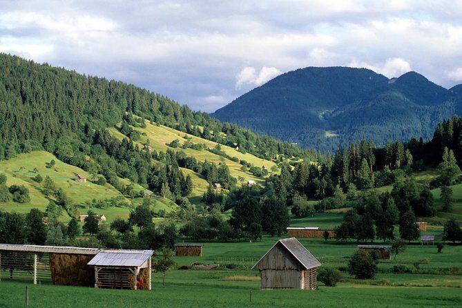 Magic of Alps, Triglav NP with Lake Bohinj & Waterfall Savica, HD Trip from Ljub - Key Points