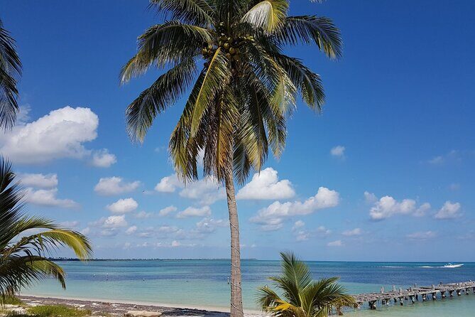 Magic Sian ka'an Deluxe two boats - The Experience: Pros and Cons