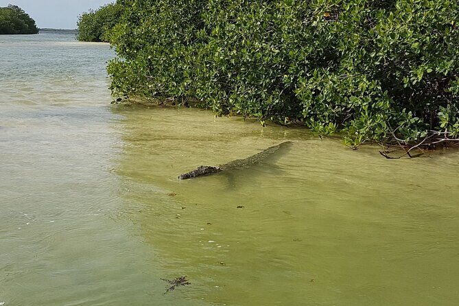 Magic Sian ka'an Deluxe two boats - FAQs