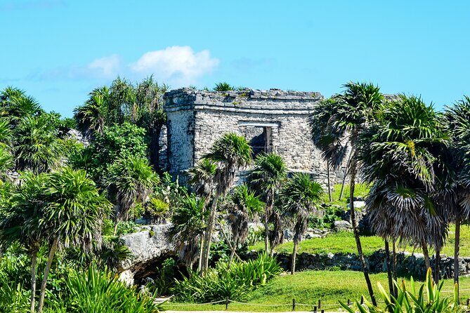 Magical adventure to Tulum, a giant sculpture and cenotes. Lunch included - The Long Day: Is It Worth It?