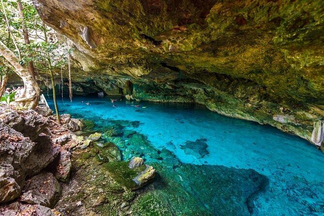 Magical adventure to Tulum, a giant sculpture and cenotes. Lunch included - Who Is This Tour Best For?