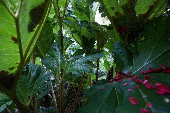 Magical and Exclusive Private Visit to the Fonte Baxa Garden, Luarca - Final Thoughts