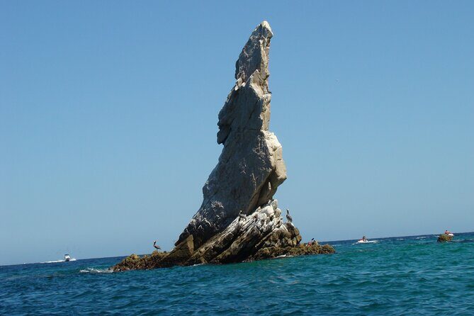 Magical Baja Adventure Todos Santos, Cabo, & San José Tour - An In-Depth Look at the Baja Tour Experience