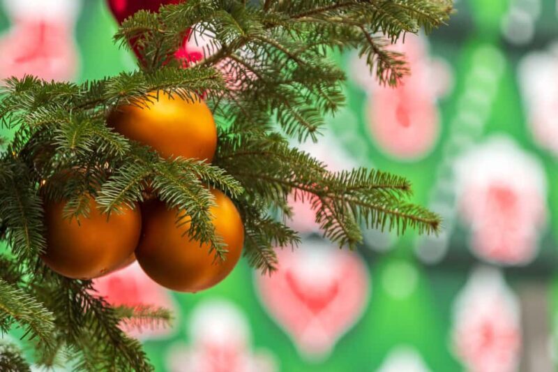 Magical Christmas Markets and Bites Walking Tour in Budapest - FAQ