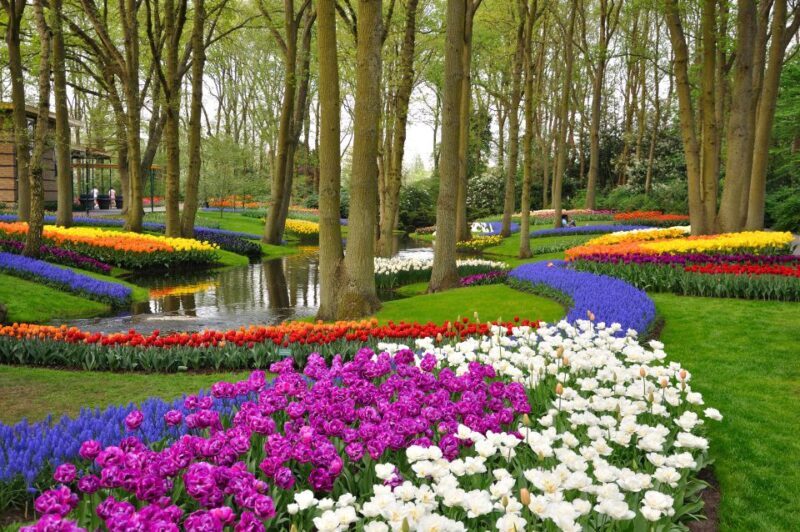 Magical Delft and the Keukenhof Estate: Tulips Galore - Practical Tips for Your Trip